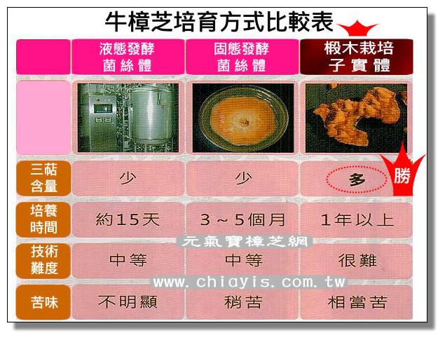 台灣牛樟芝(菇)培育方式比較表